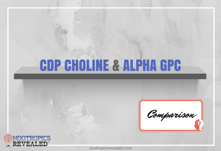 CDP Choline vs Alpha GPC
