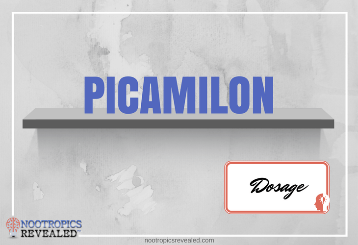 Picamilon Dosage